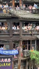 Catching Ducks //short //Chinese Ducks