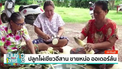 ขนมไทยประยุกต์ รูปลักษณ์สวยงามรสชาติสุดฟิน  | เป็นข่าวเล่าเรื่อง | 25 มิ.ย. 67 | PART 3