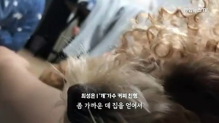 [다다를 이야기] '결혼식 축가' 댕댕이 커피…"신곡 아기상어 맹연습…기부도 동참"