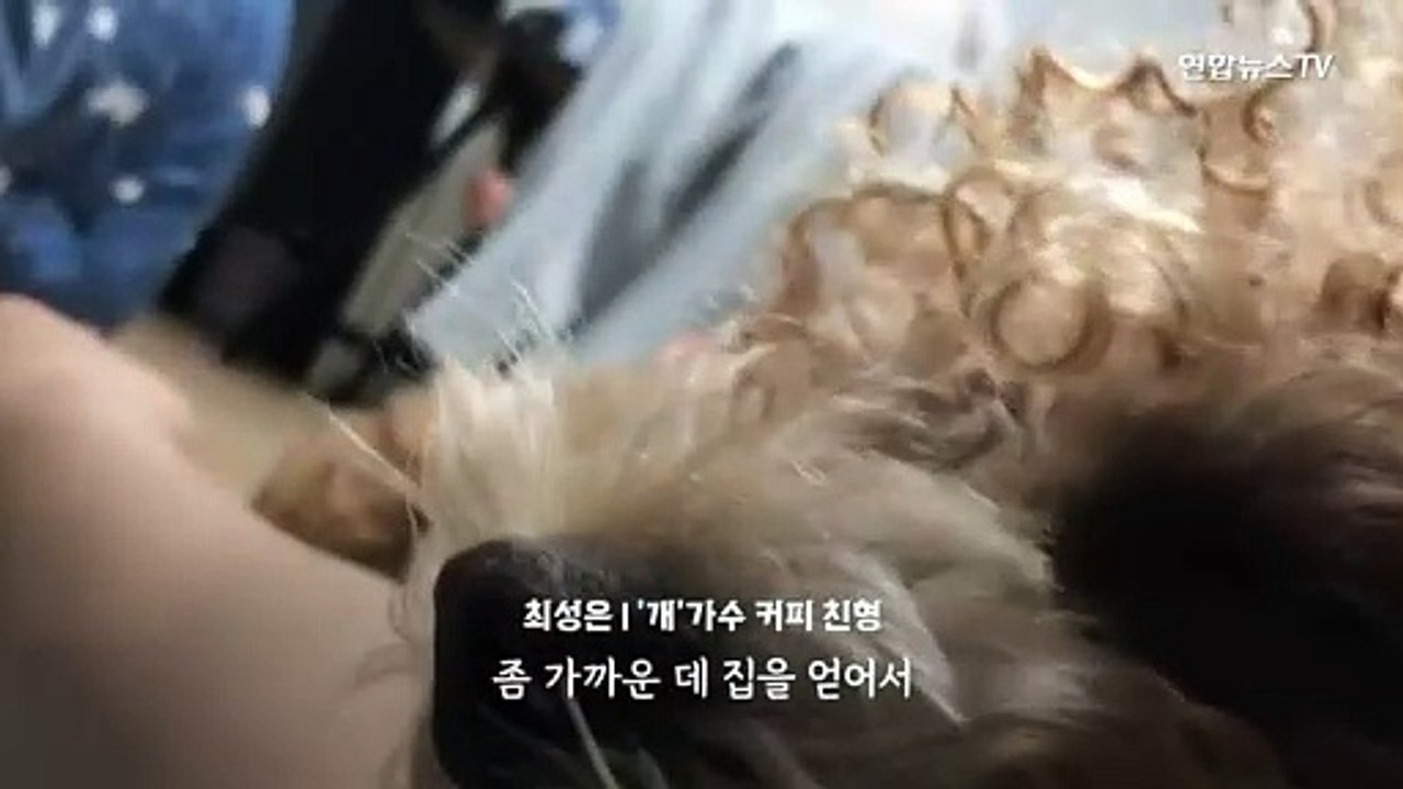 [다다를 이야기] '결혼식 축가' 댕댕이 커피…"신곡 아기상어 맹연습…기부도 동참"