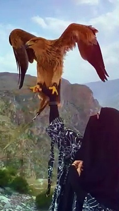 Amazing Lady with Eagle