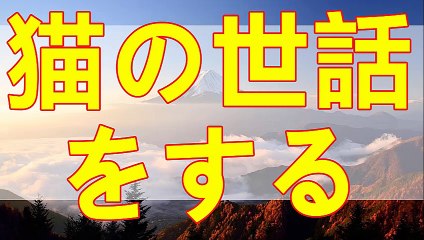 テレフォン人生相談  素敵な犬 猫の世話を引き受けてしまった結果