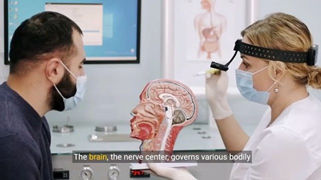 Understanding the Human Circulatory System