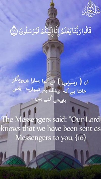 surah yaseen in beautiful voice |Recitation  |peace |holyquran |surah |calmnesswithin |quran pak