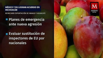 下载视频: Embajador Salazar prioriza seguridad de trabajadores en retoma de exportación de aguacate