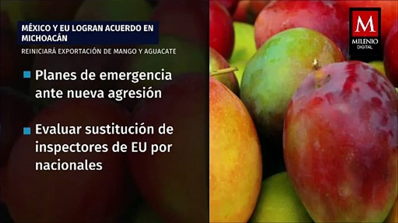 Embajador Salazar prioriza seguridad de trabajadores en retoma de exportación de aguacate