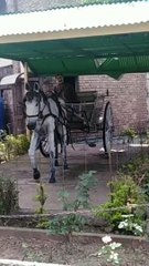 Lok Virsa islamabad