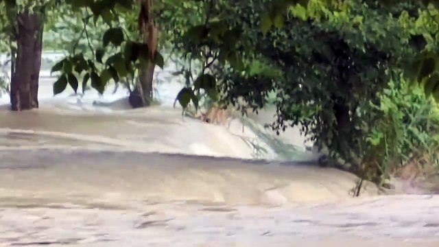 Fiume Secchia in piena: il video