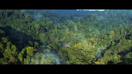 Tarzan (2025) - First Trailer ｜ Dwayne Johnson, Megan Fox