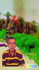 Brahvi Language— Sayed shah Hussain Mal Nushki na Mach aathay picnikeek ushing ti oh