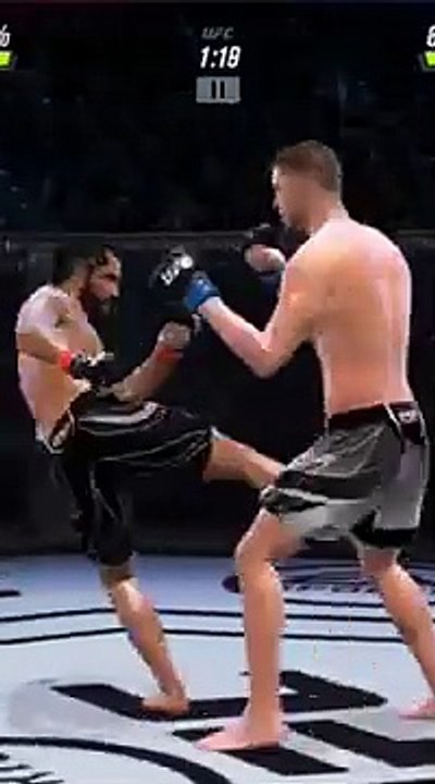 UFC MMA FIGHT