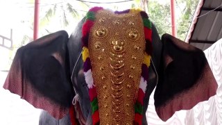 힌두교 사원에 등장한 로봇 코끼리 [앵커리포트] / YTN