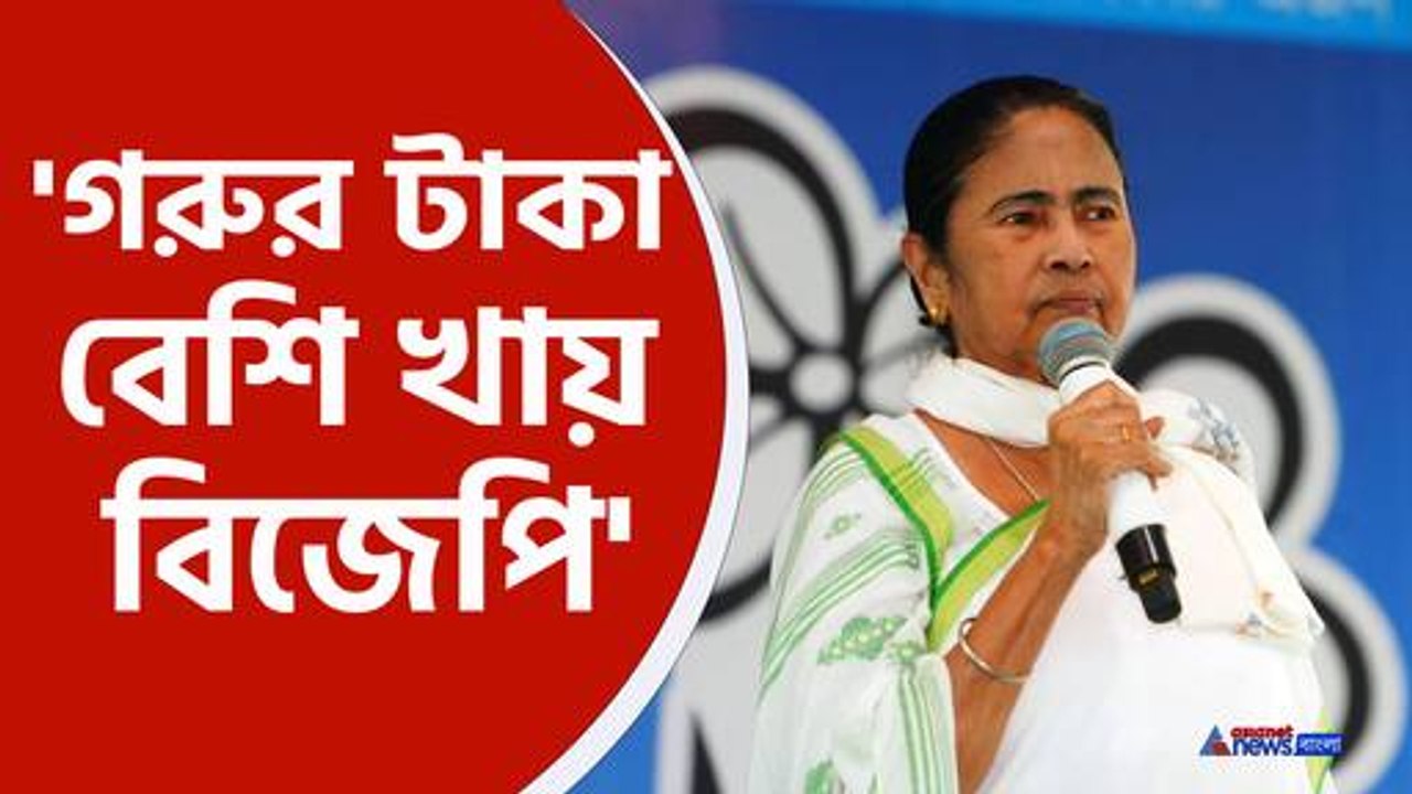 mamata banerjee on bjp
