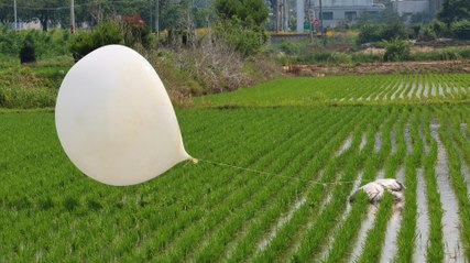 Gefährliche Parasiten in Nordkorea-Ballons: Müll und Risiken für Südkorea 🚨