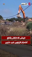 قوات الاحتلال تقتلع أشجار الزيتون وتجرف أراض في أم الريحان غرب جنين