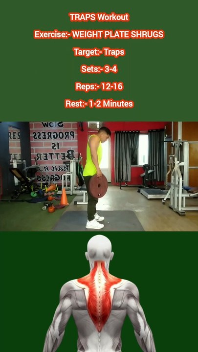 ❌ WEIGHT PLATE SHRUGS ✔️  How can I Build my TRAPS Bigger?  #heermlgangaputra #naturalbodybuilding #fitness #gym #workout #exercise #muscle #training