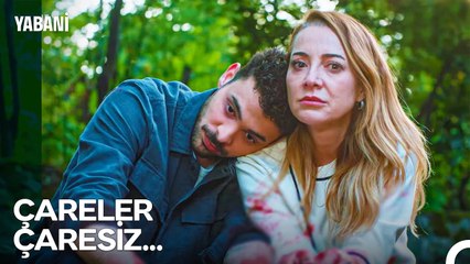 Tüm Çabalar Sonuçsuz Kaldı - Yabani