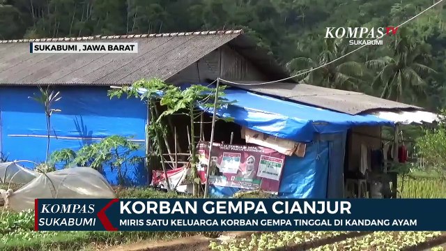 Miris Satu Keluarga Korban Gempa Tinggal Di Kandang Ayam