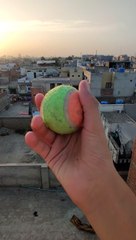 Gravity + Ball #cricketshort #shorts #batting #battingpractice #cricketreels #viral