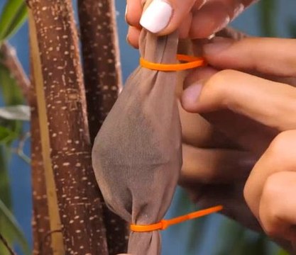 Totally unexpected hacks to use your old tights!