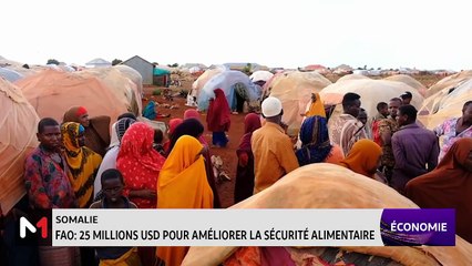 JT Economie - 25/06/2024