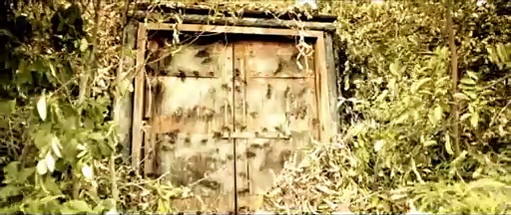 Dead Mine Bande-annonce (EN) - Vidéo Dailymotion