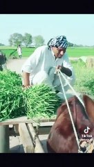 1f72339d4a1914ec4600146d98787322