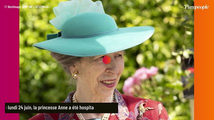 La princesse Anne mal en point ? Un expert royal donne son avis et il est intraitable