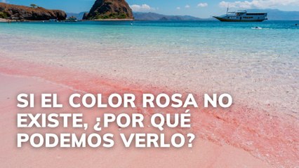 Si el color rosa no existe, ¿por qué podemos verlo?