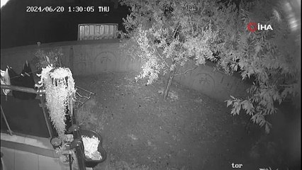 İç çamaşırı hırsızı mahallenin başına bela oldu