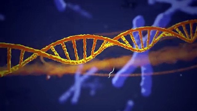 Editar el ADN: las tijeras moleculares CRISPR-Cas9