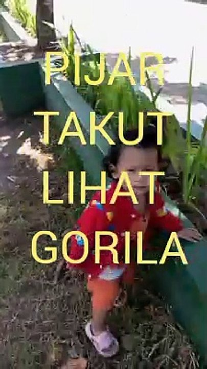 Scare