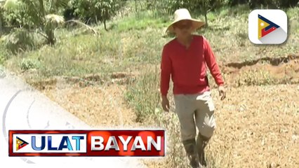Isang benepisyaryo mula sa Quezon Province, nabiyayaan ng titulo ng lupa sa ilalim ng DAR
