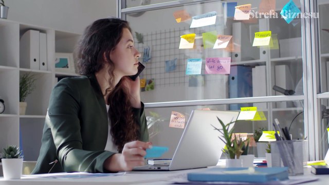 Strefa Biznesu: Ile firmy tracą na mobbingu w miejscu pracy?