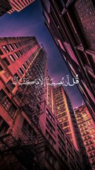 قُل لَّن يُصِيبَنَا إِلَّا مَا كَتَبَ اللَّهُ لَنَا