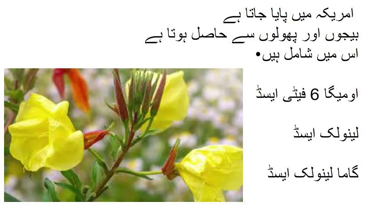 #Acne_Free_Skin #less_Hair_fall مہاسوں سے مکمل نجات اور بال گرنا کم