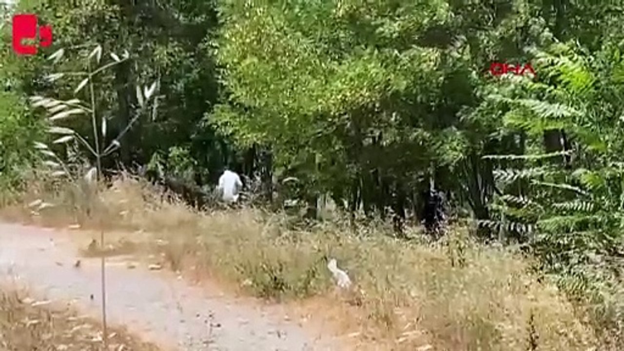 Esenyurt'ta boş arazide kadın cesedi bulundu