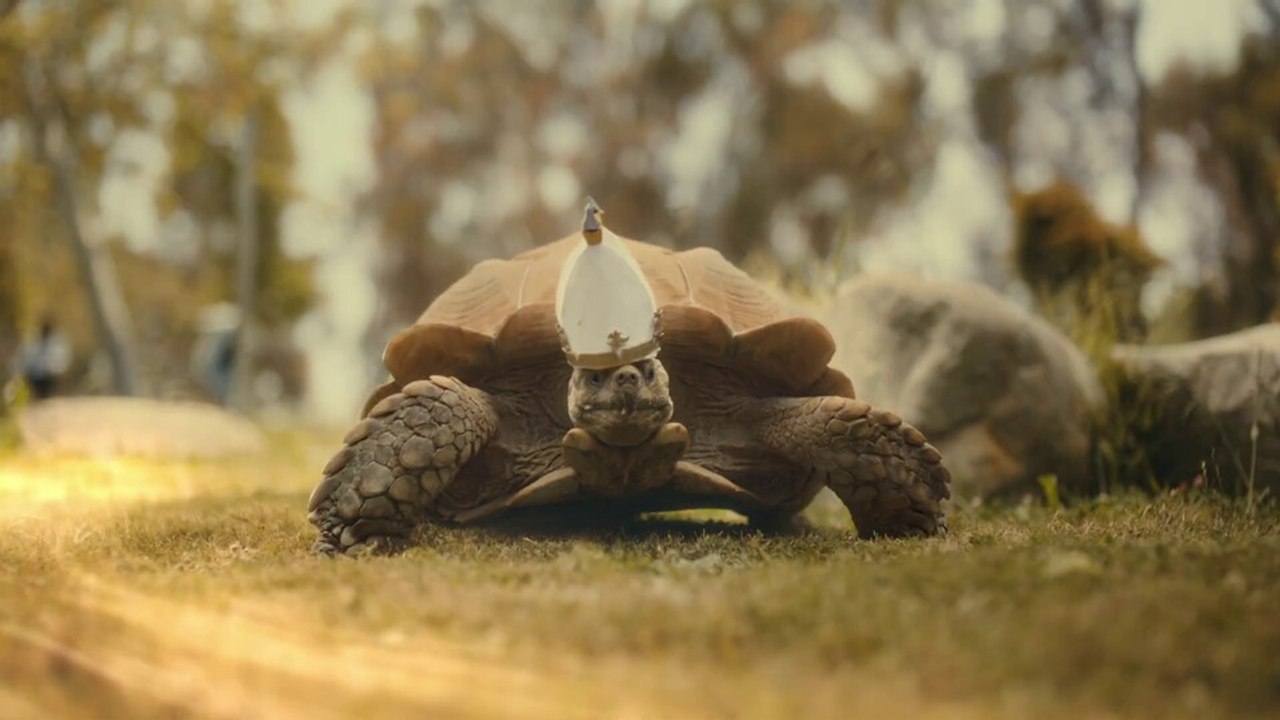 Der neue Elden Ring-DLC-Trailer zeigt eine 'echte Papst-Schildkröte' und das müsst ihr gesehen haben