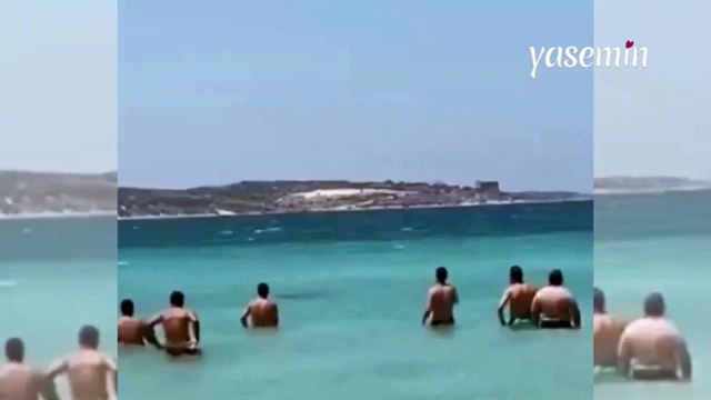 İzmir'de köpek balığı sanılan yunus balığı büyük panik oluşturdu! O anlar...