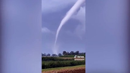 Le immagini della tromba d'aria che ha colpito Rovigo, in Veneto