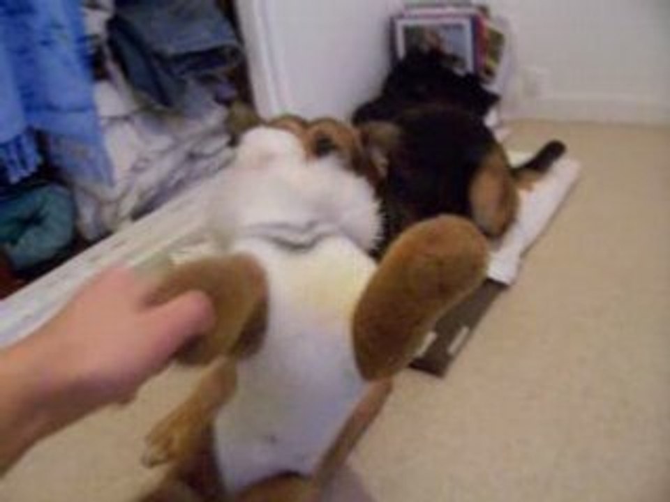 mumu et sa peluche
