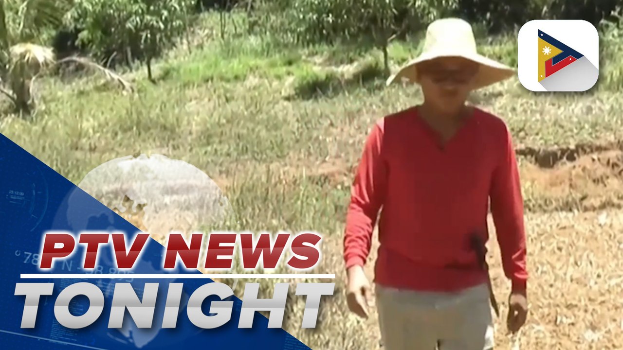 PBBM knows, understands problems, challenges of farmers