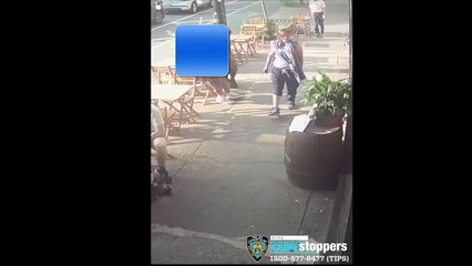 Vandal breaks 15 Pride flags across from Stonewall Inn