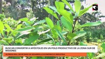 Buscan convertir a Apóstoles en un polo productivo de la zona sur de Misiones