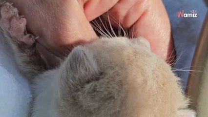 Une femme traverse un parking et entend des appels à l’aide désespérés (Vidéo)