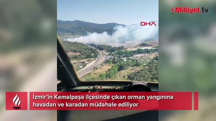 İzmir’de orman yangını! Havadan karadan müdahale