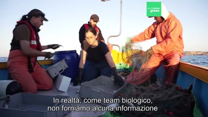 Perché è importante una stretta collaborazione tra ricercatori e pescatori?