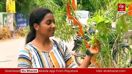 ప్రకృతిపై ప్రేమ - ఈ 'దీక్షిత' అందరిలా కాదు