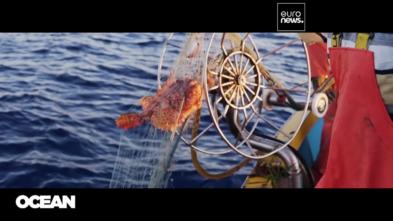 Quem são os cientistas que influenciam as decisões políticas sobre pescas na UE?