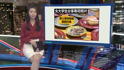 台湾女大学生宠物守宫放酱油碟拍照惹争议 🦎